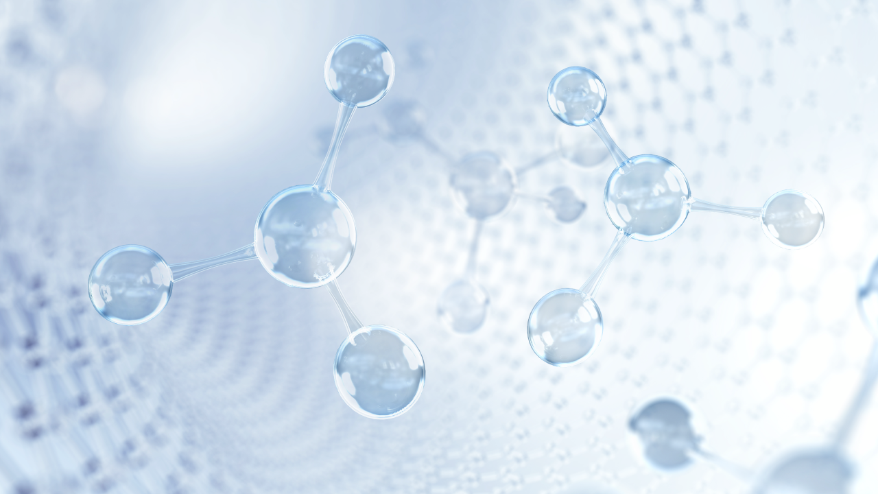 항노화 프로그램