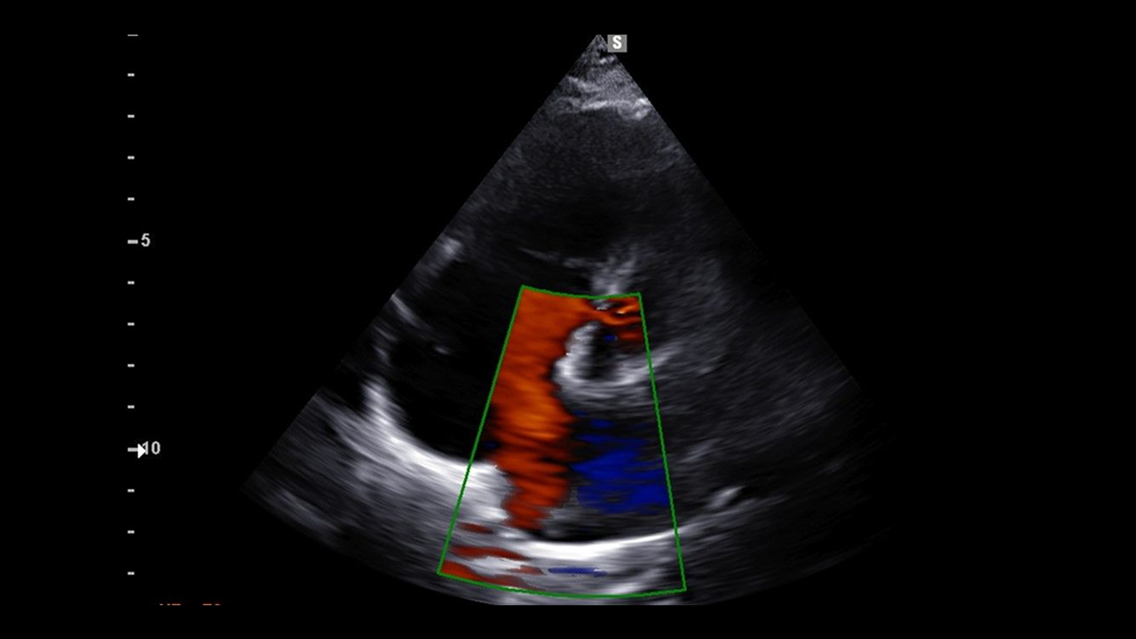 영상의학 클리닉