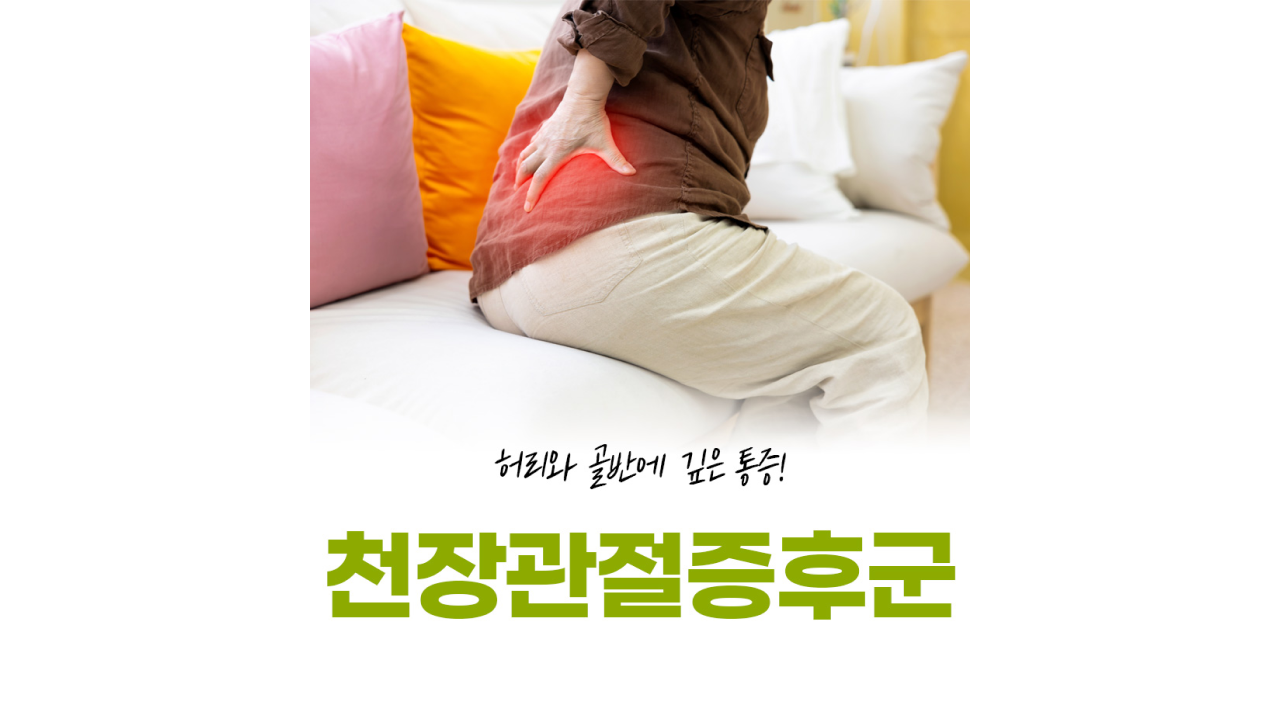 허리 및 골반 통증 개선